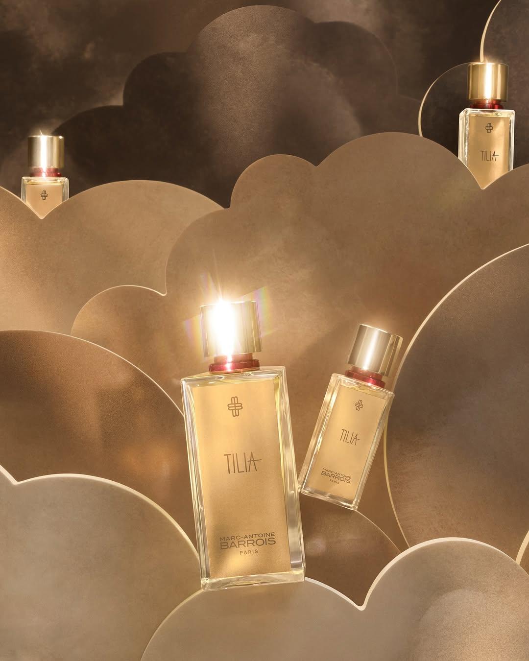 Tilia - Marc-Antonine Barrois