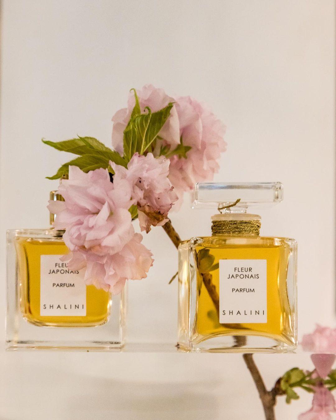 Shalini - Fleur Japonais
