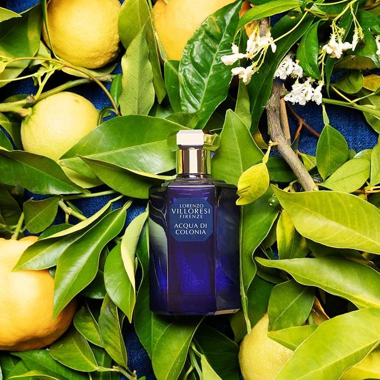 Acqua di Colonia - Lorenzo Villoresi
