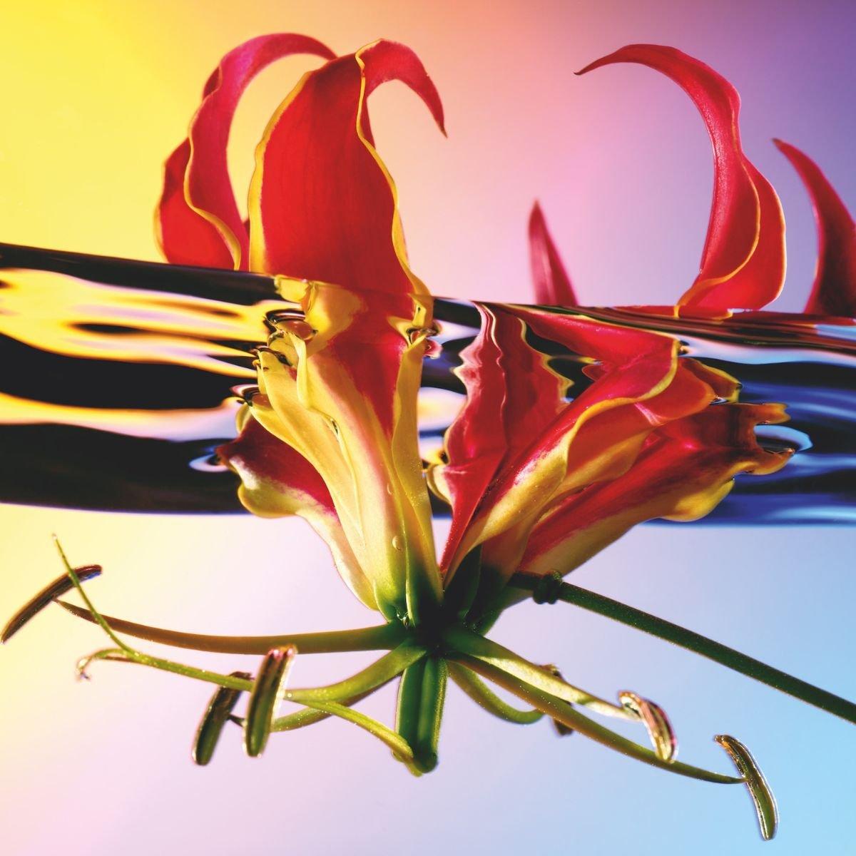 Annindriya - Le Glossy Escape