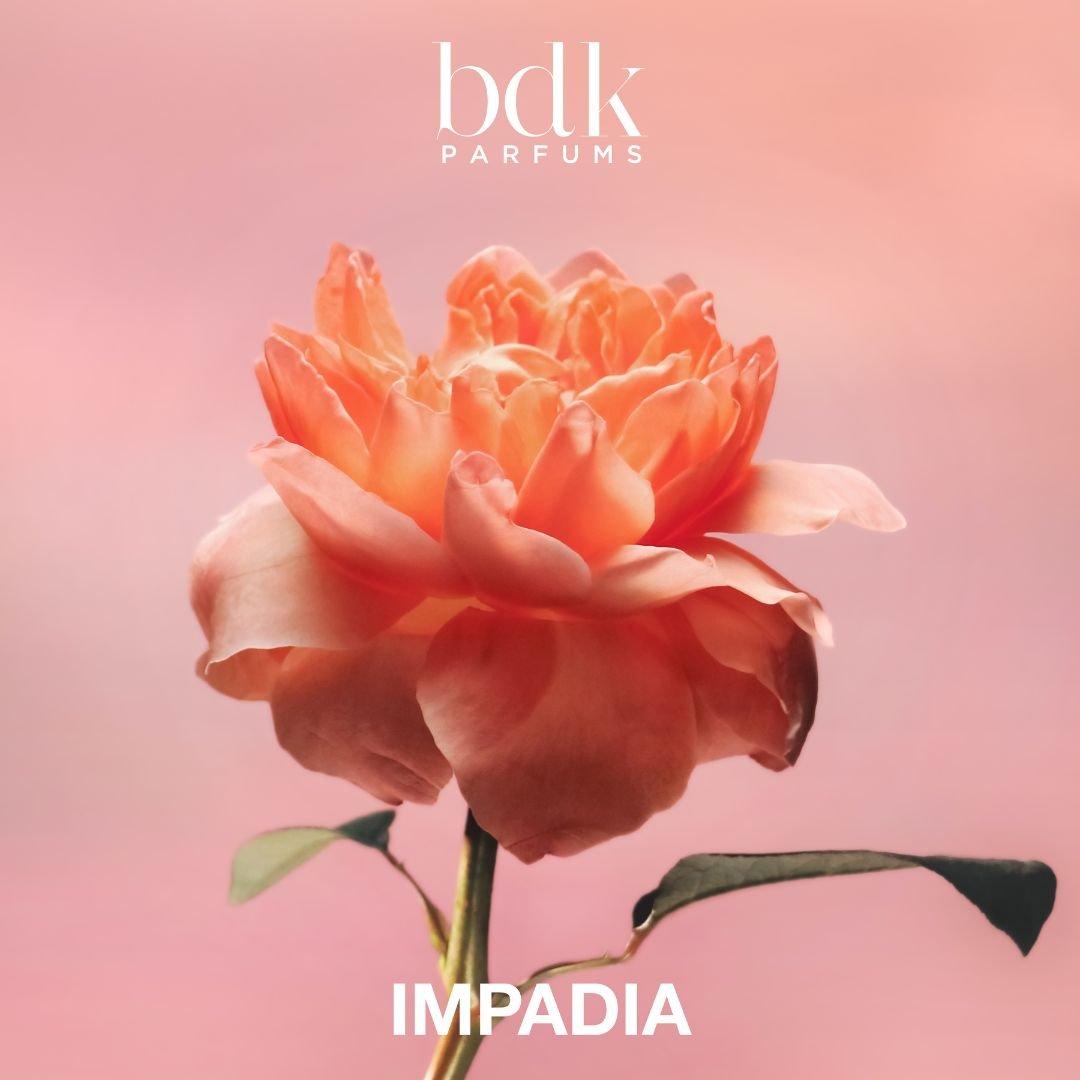 BDK - Impadia Eau de Parfum 100 ml