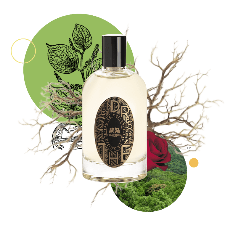 Cendre de The Phaedon visual