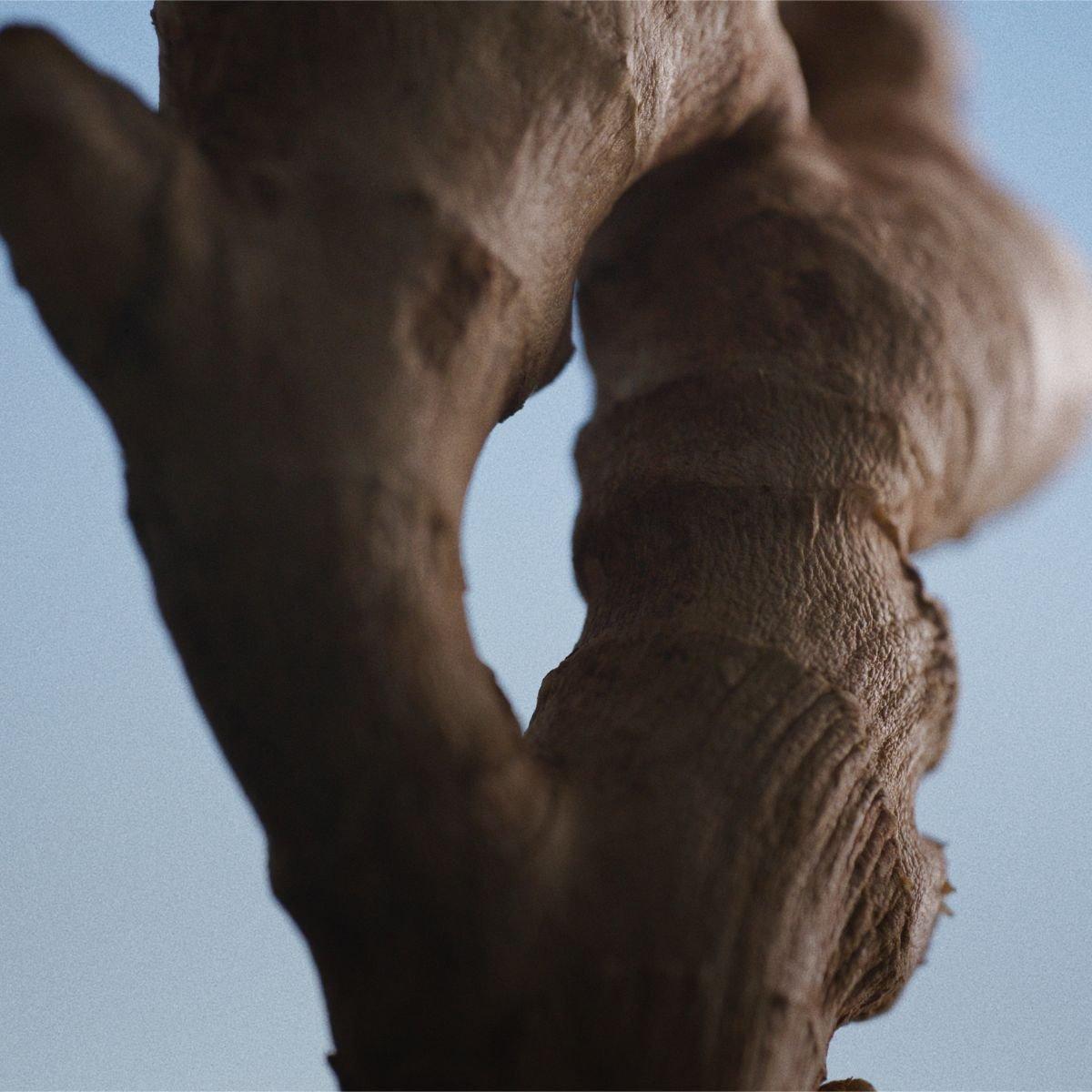 Caron - Pour un Homme de Caron Le Matin