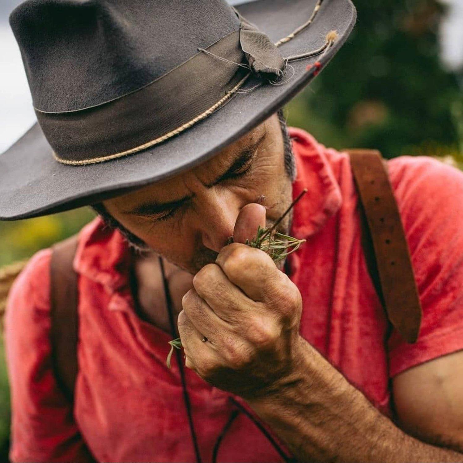 Ernesto perfumer - Bravanariz