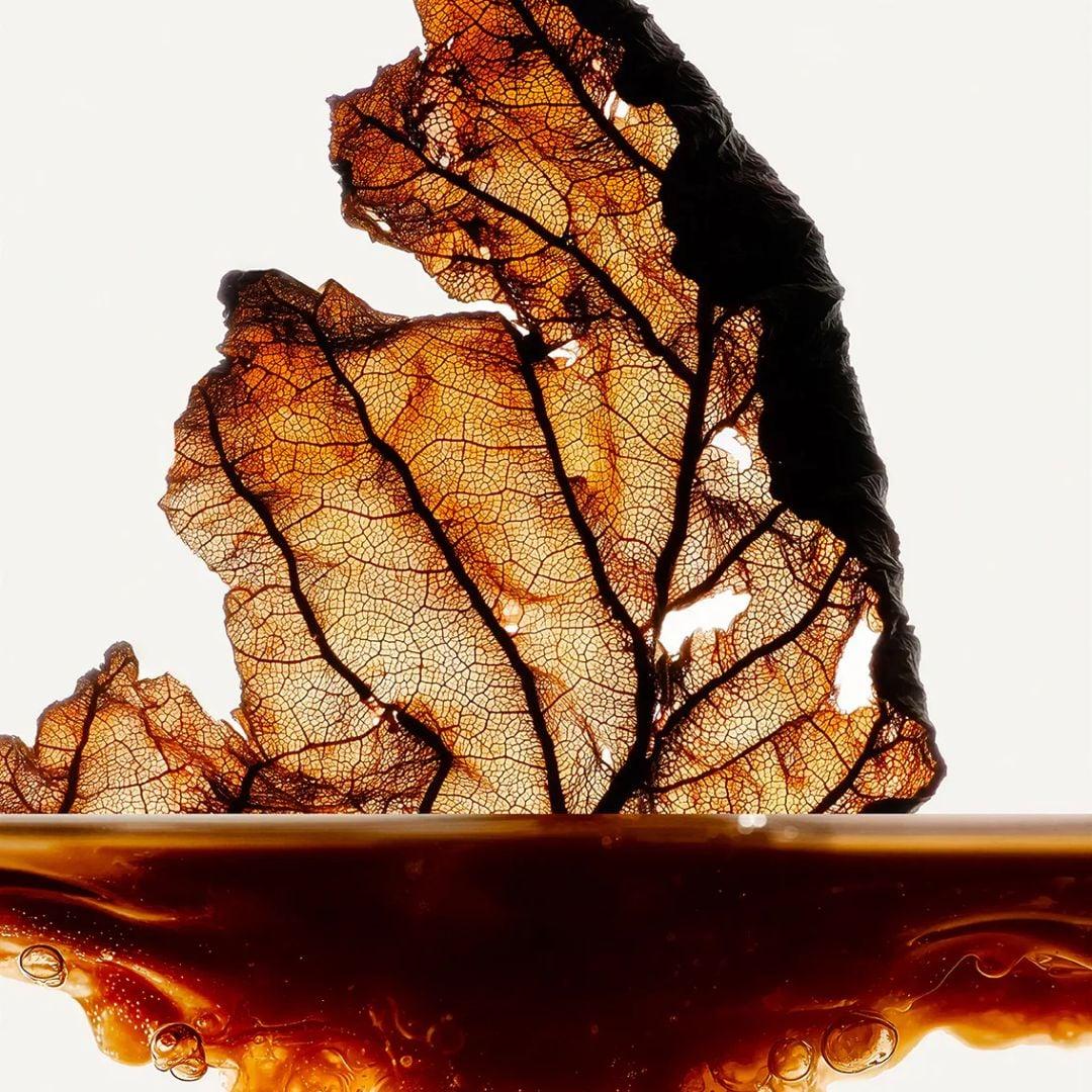 Headspace – Tabac Extrait de Parfum