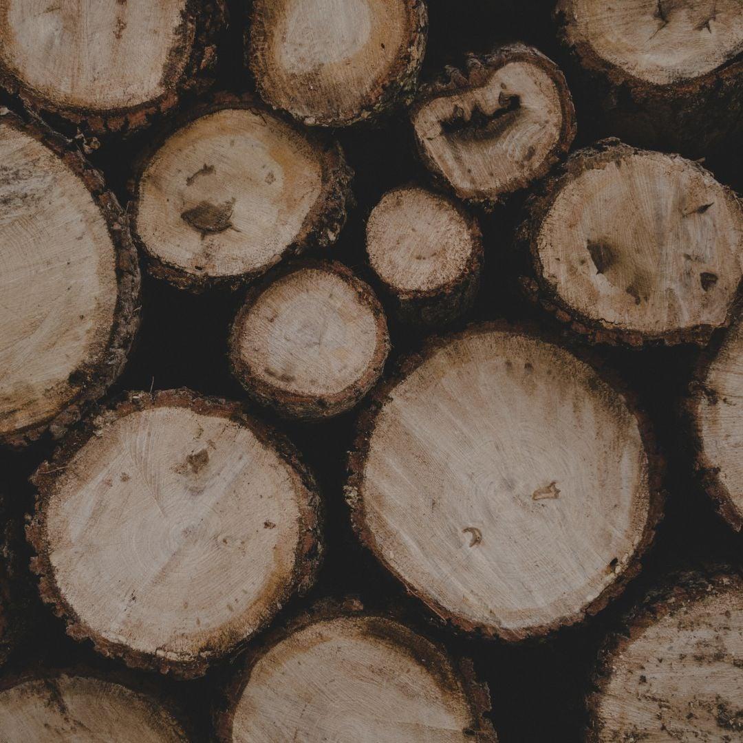 Hout - woody perfume