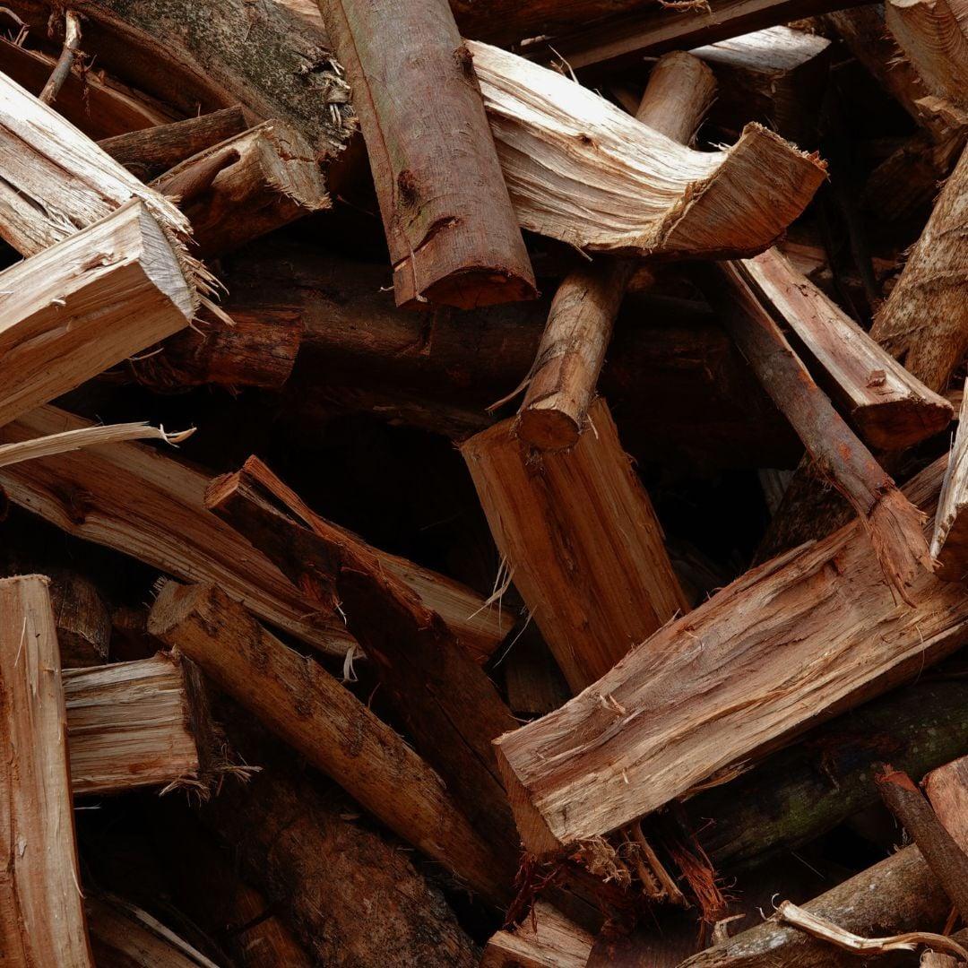 Hout - woody perfume