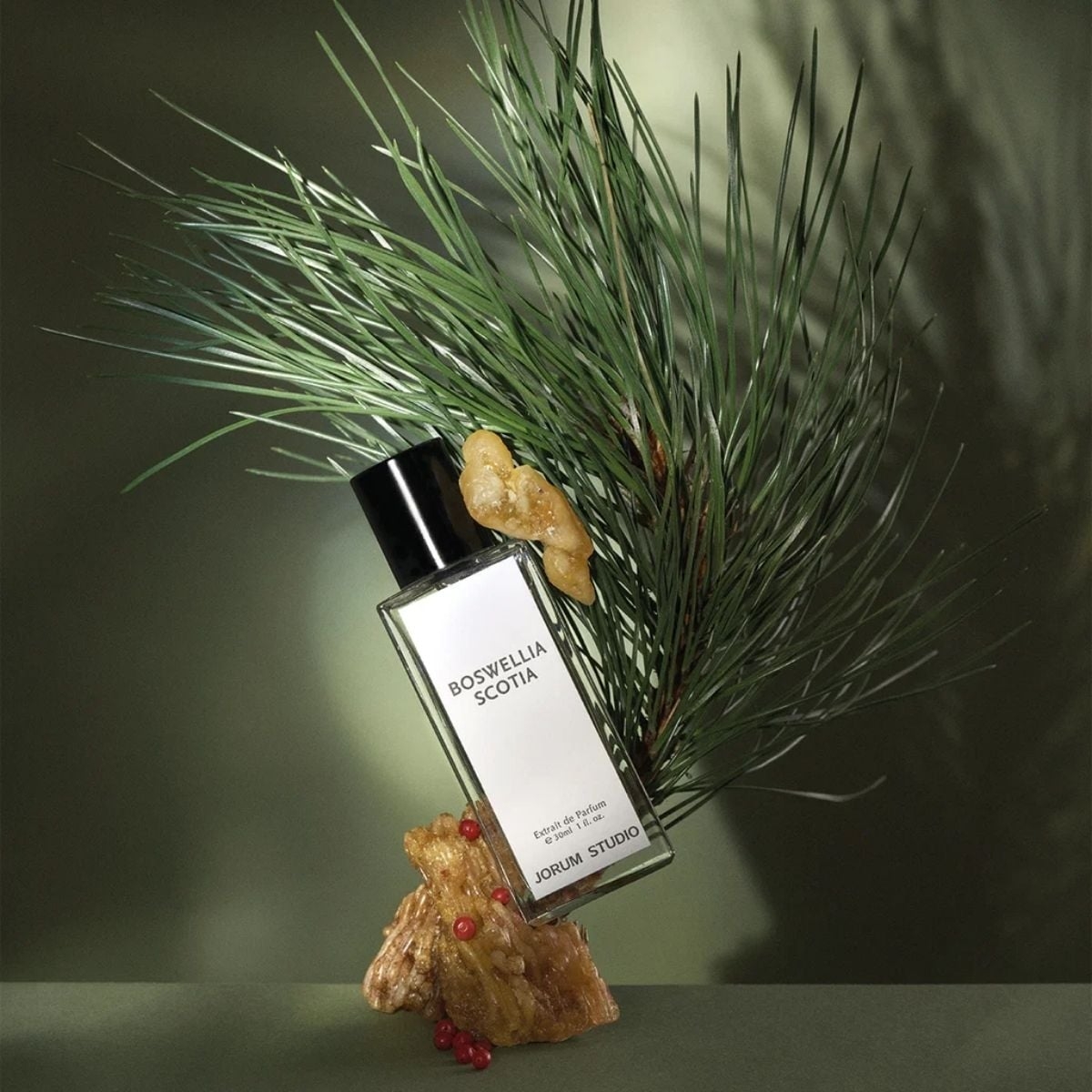 Jorum Studio – Boswelia Scotia 30 ml Extrait de parfum