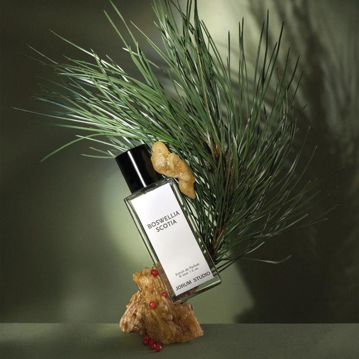 Jorum Studio – Boswelia Scotia 30 ml Extrait de parfum