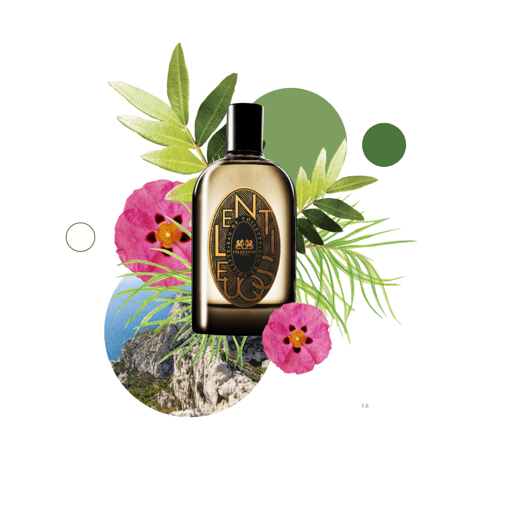Lentisque Phaedon | Perfume Lounge