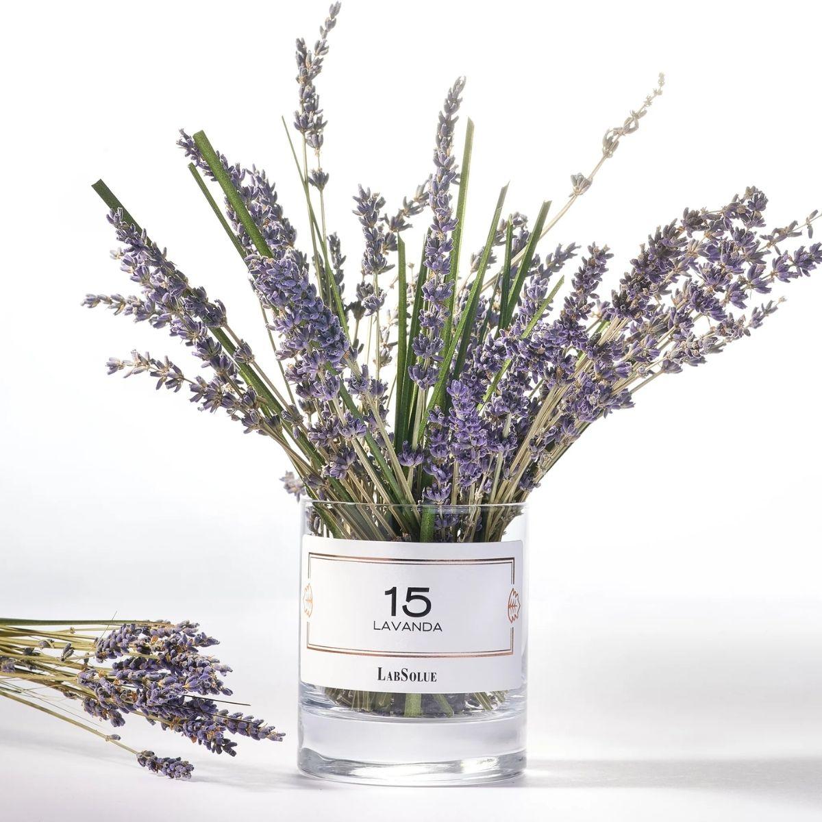 LabSolue – 15 Lavanda Scented Candle 200g