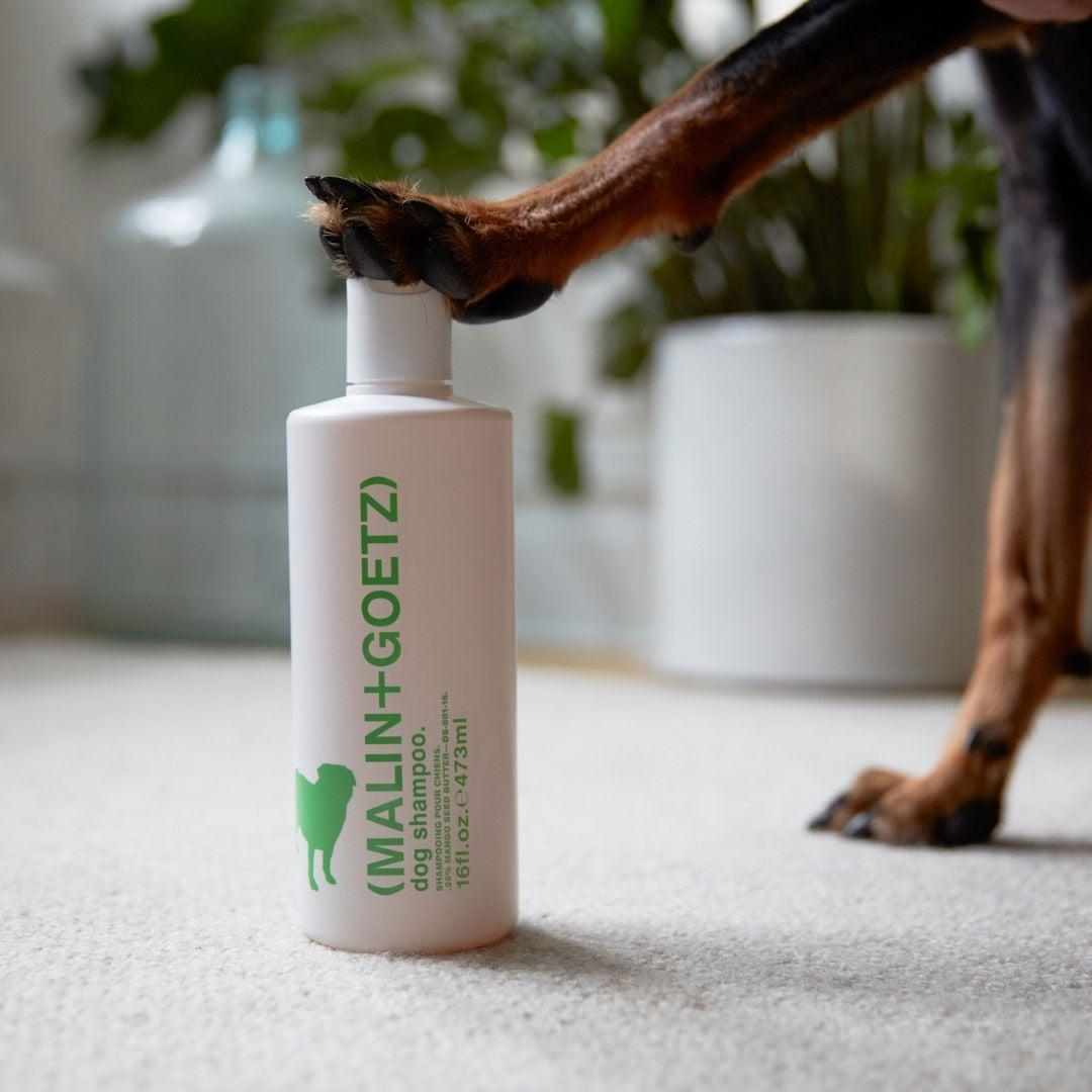 Malin + Goetz – Dog shampoo 473ml