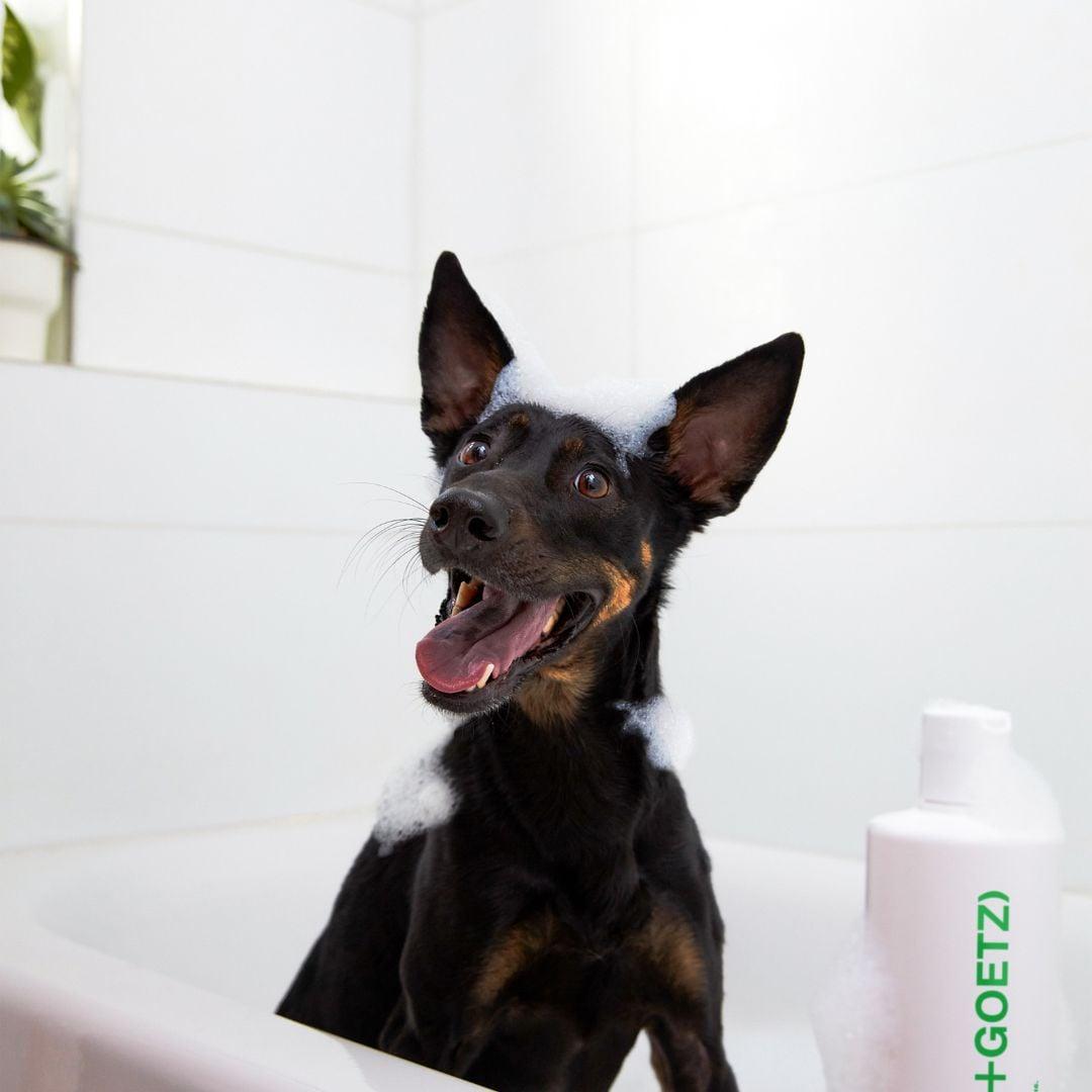 Malin + Goetz – Dog shampoo 473ml