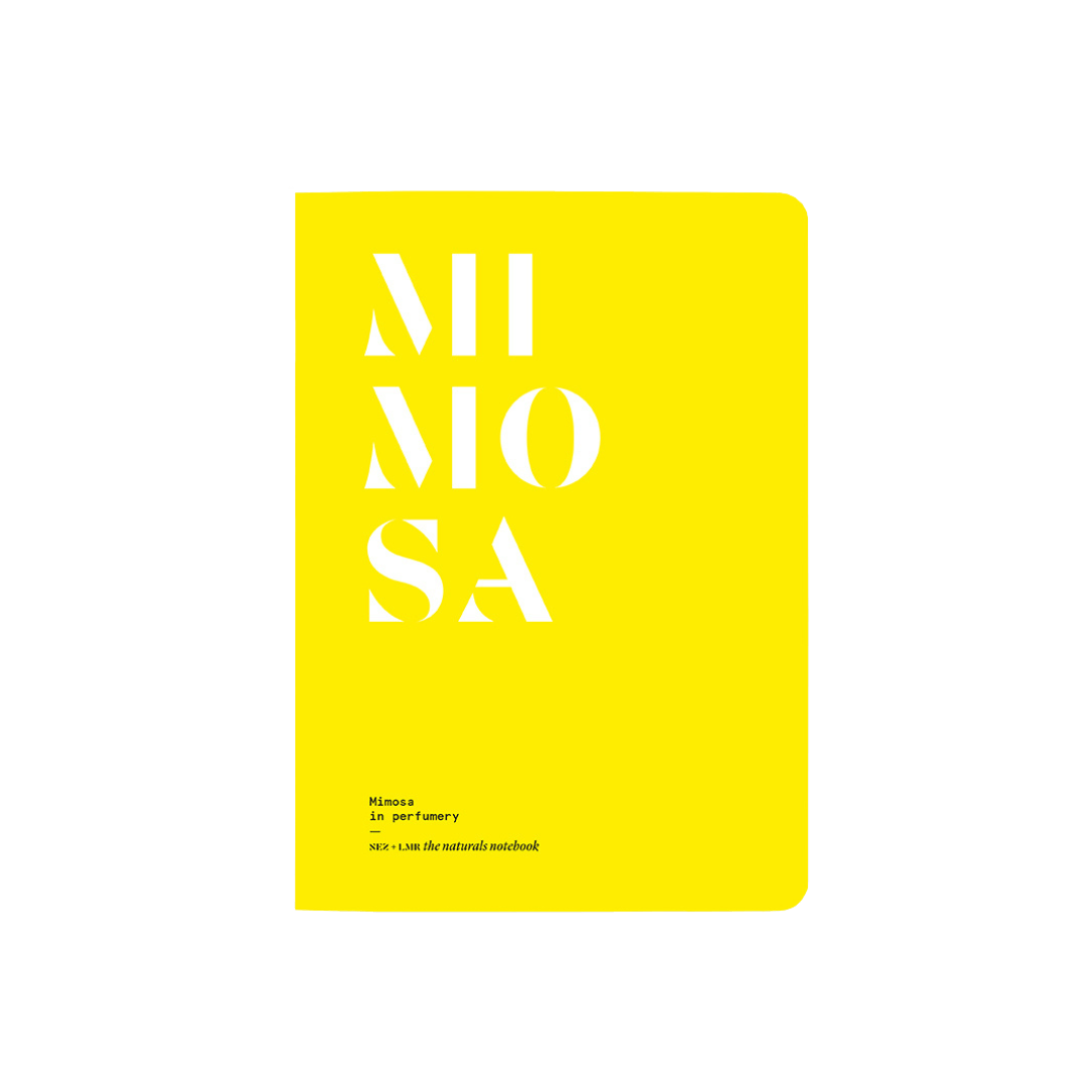 Nez Editions - Mimosa in perfumery | Perfume Lounge