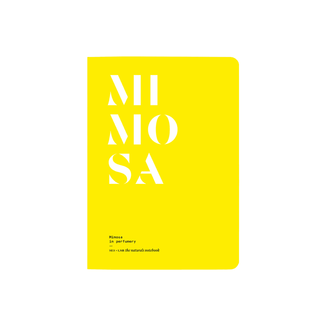 Nez Editions - Mimosa in perfumery | Perfume Lounge