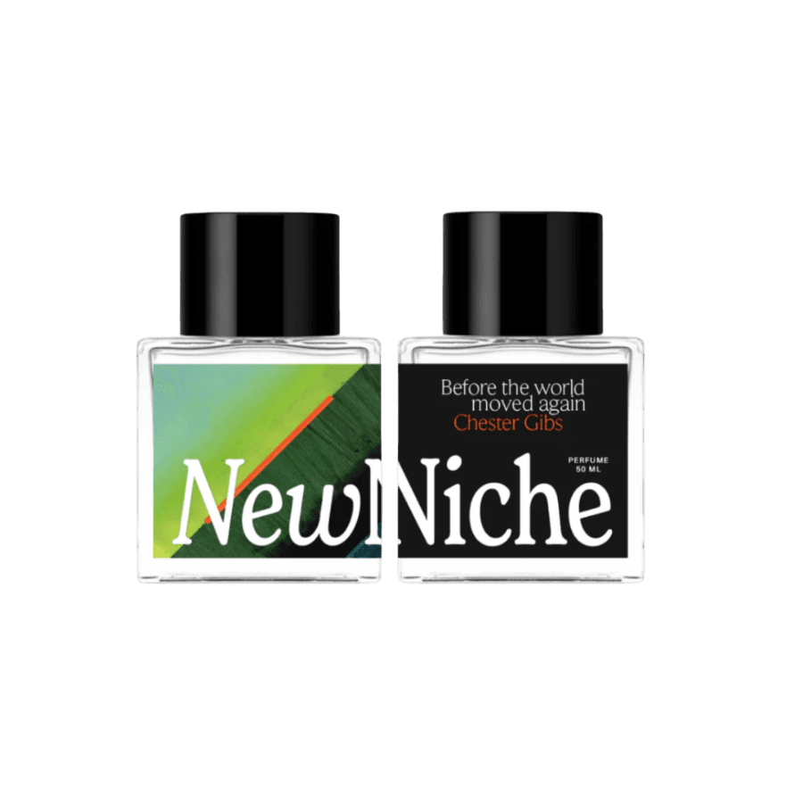 New Niche – Before the World Moved Again