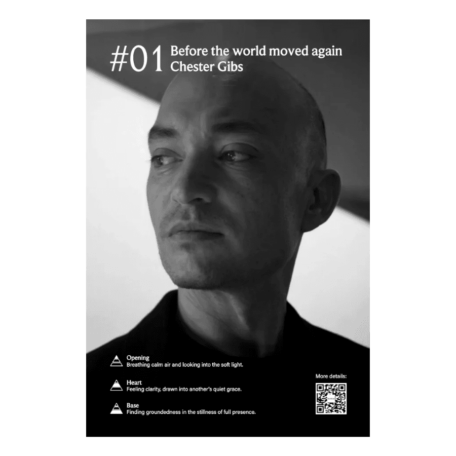 New Niche – Before the World Moved Again