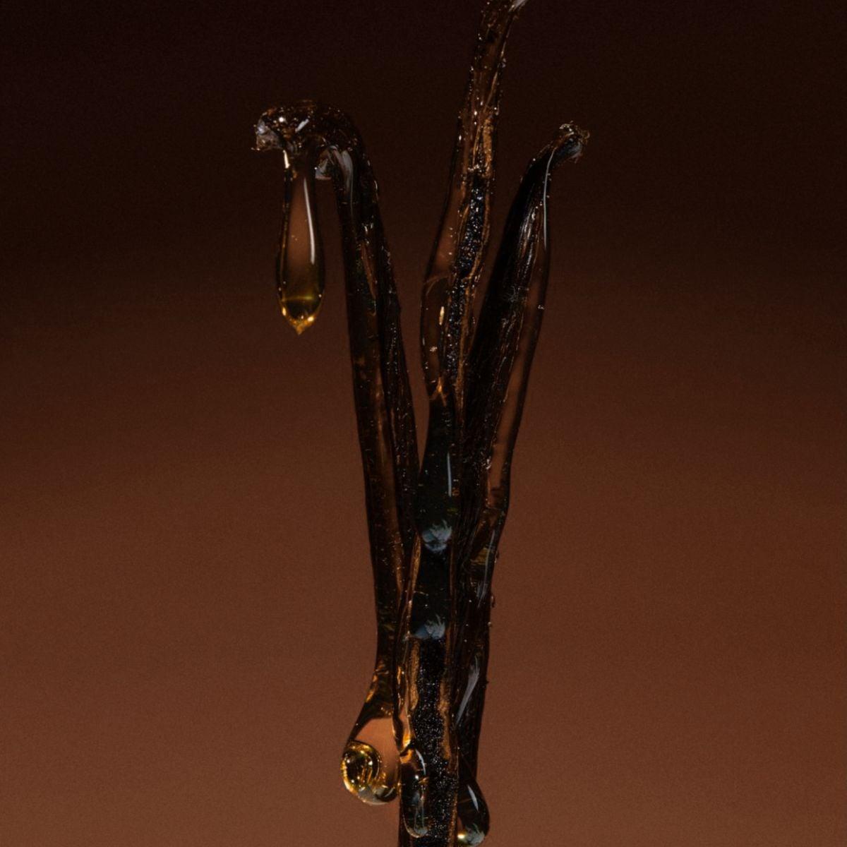 Nicolaï - Creme Ebene Eau de parfum intense