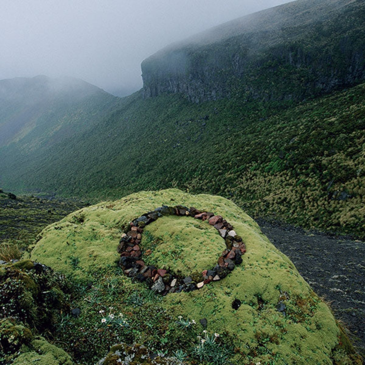 Olfactive Studio - Chypre Shot Extrait de Parfum