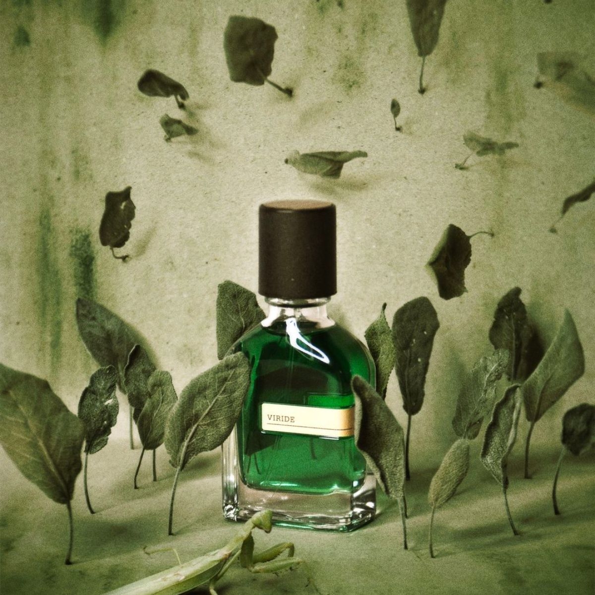 Orto Parisi - Viride