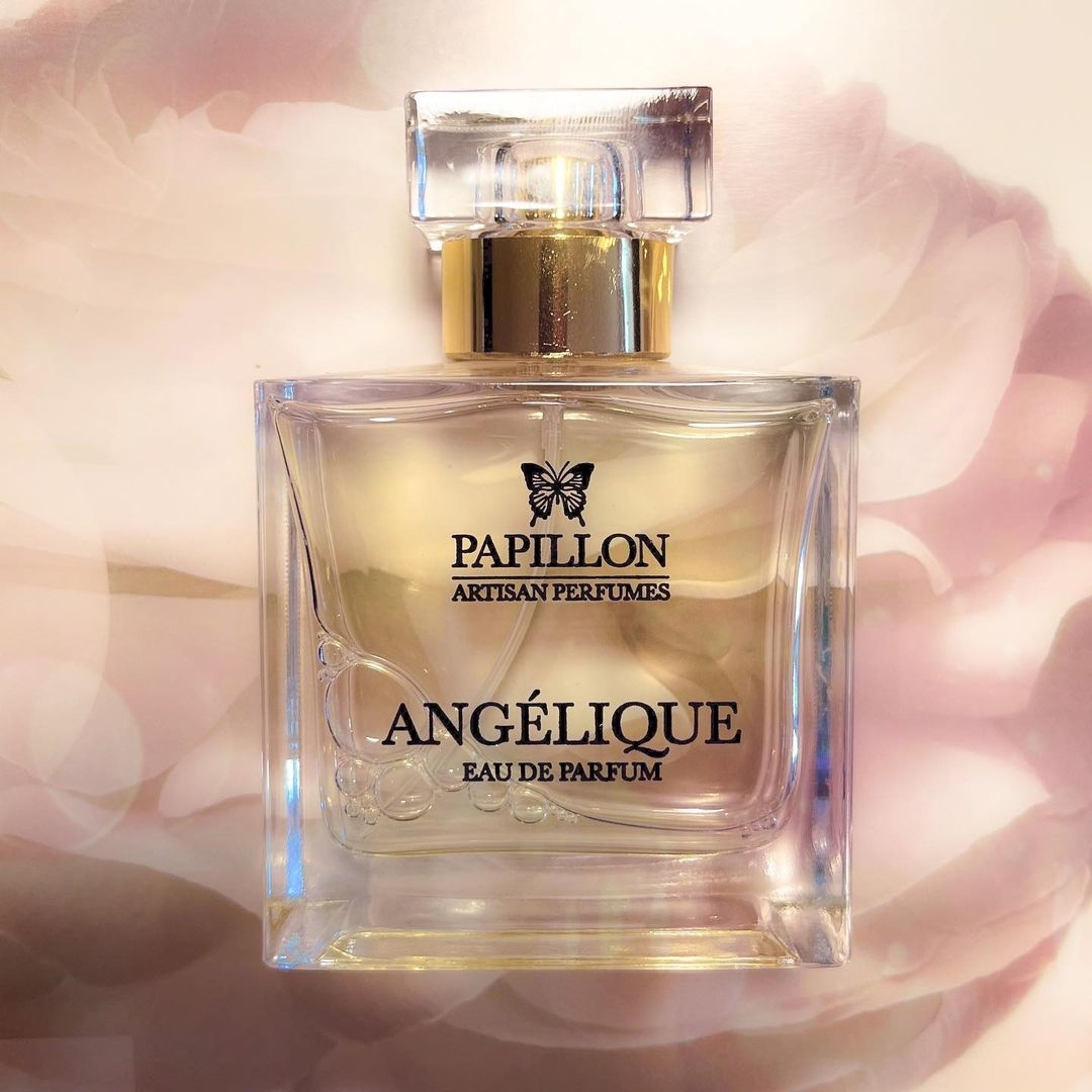 Papillon - Angelique