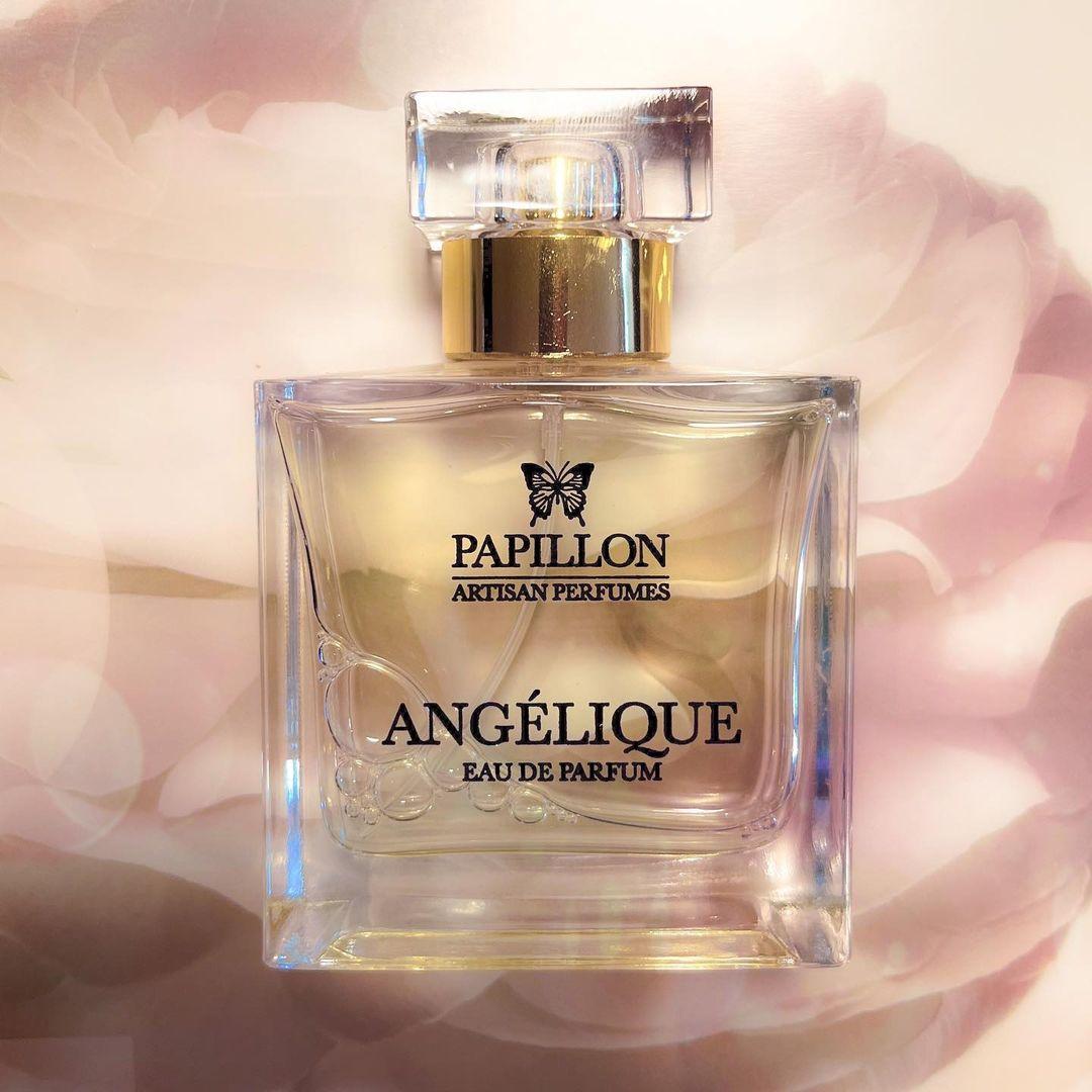 Papillon - Angelique
