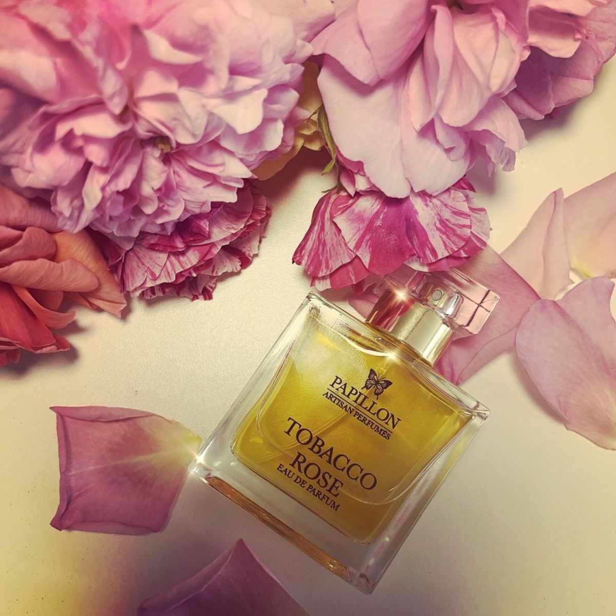 Image of the perfume Tobcaco Rose by the brand Papillon