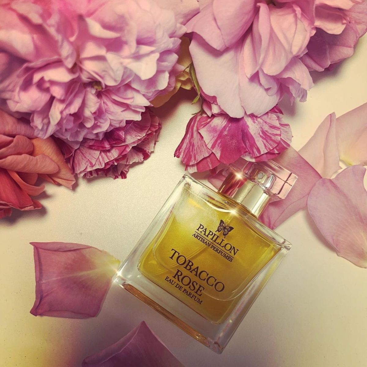 Image of the perfume Tobcaco Rose by the brand Papillon