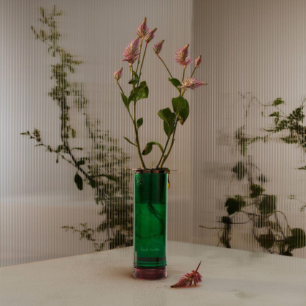 Image of Botanist reed diffuser by Paul Smith