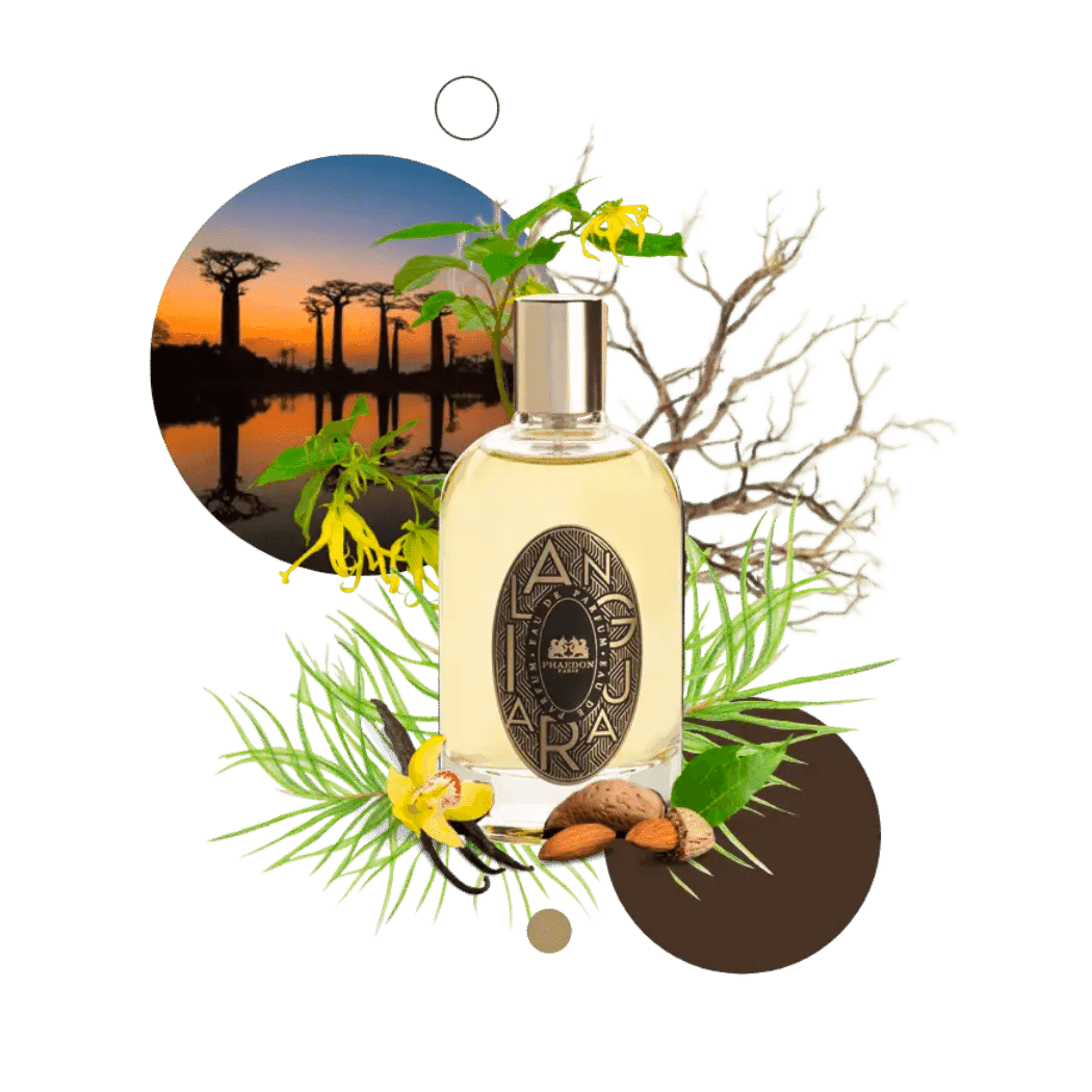 Phaedon - Ilanguara 50 ml