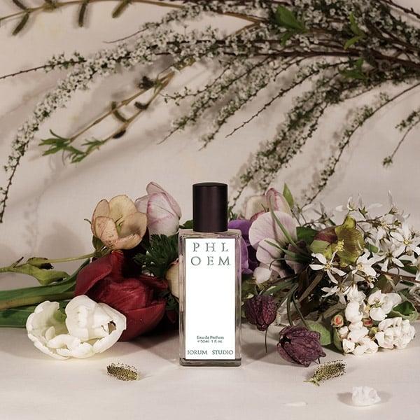 Jorum Studio - Phloem | Perfume Lounge