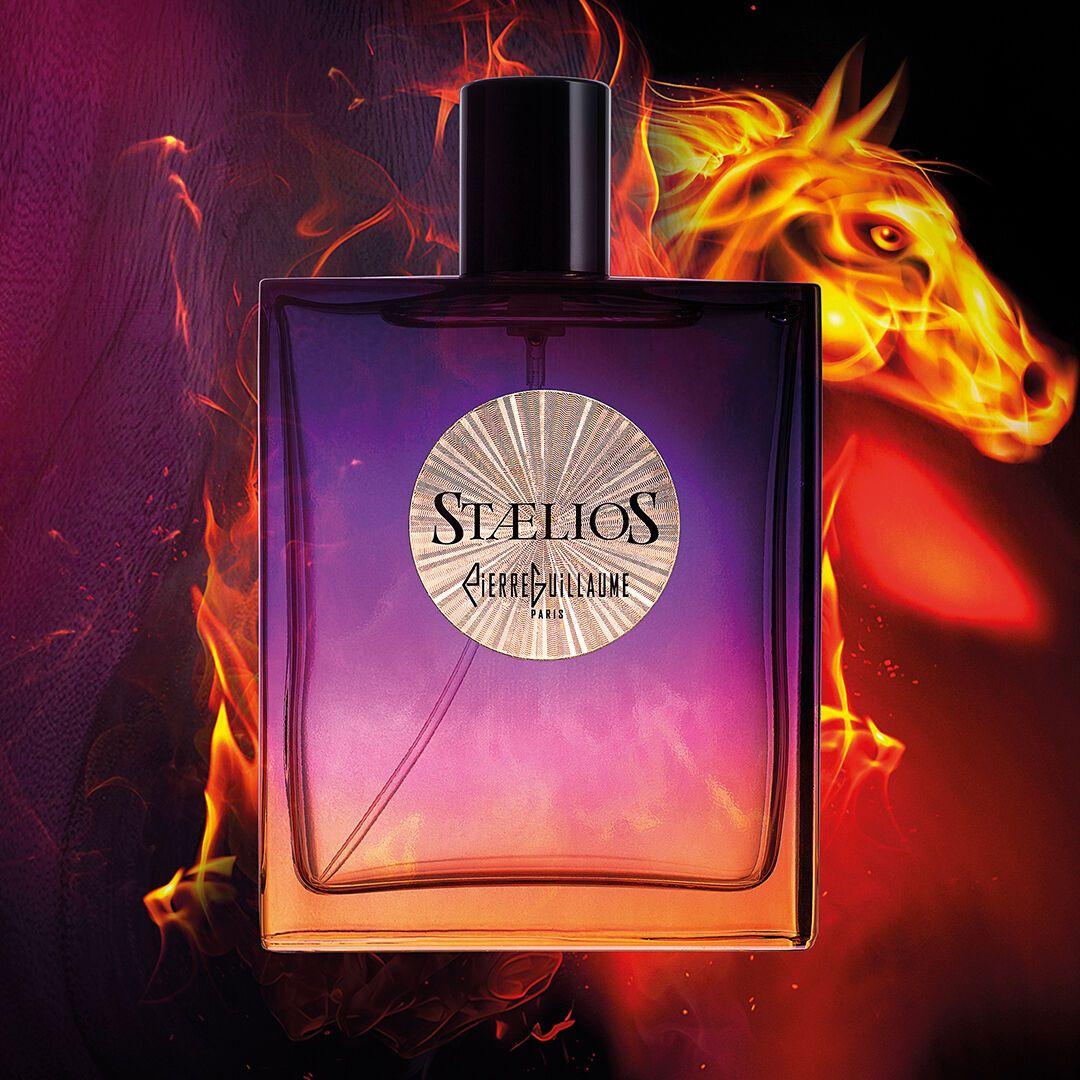 Pierre Guillaume - Staelios