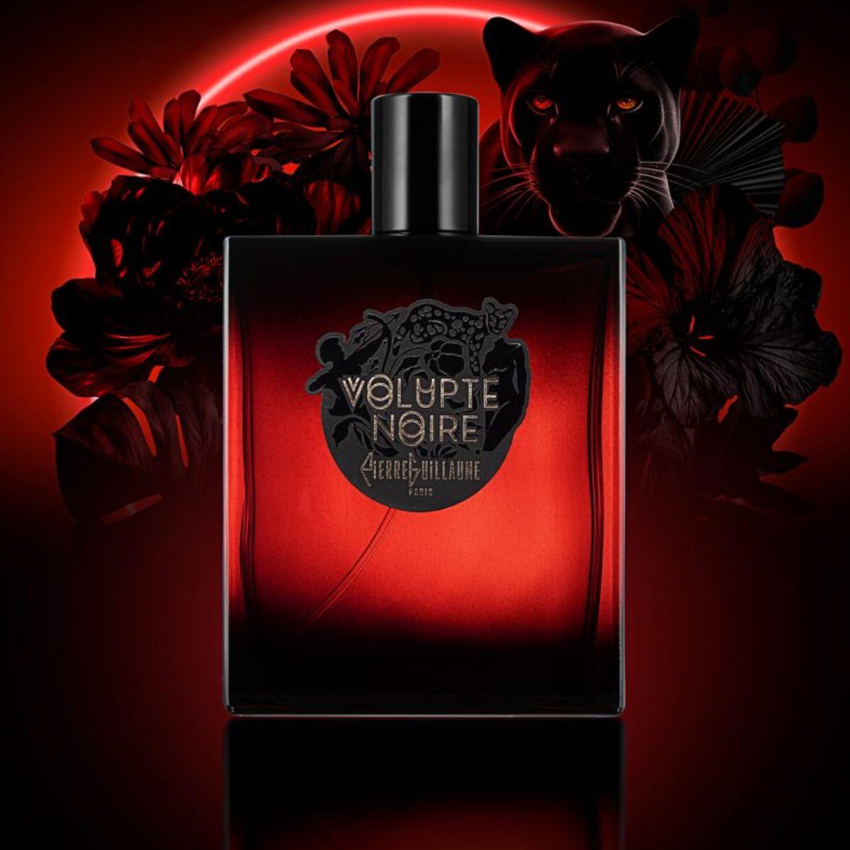 Pierre Guillaume - Volupté Noire