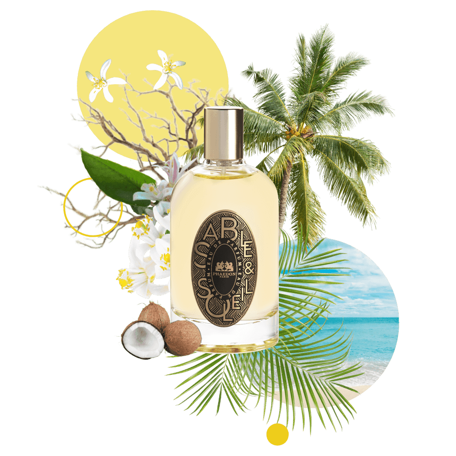 Phaedon - Sable et Soleil