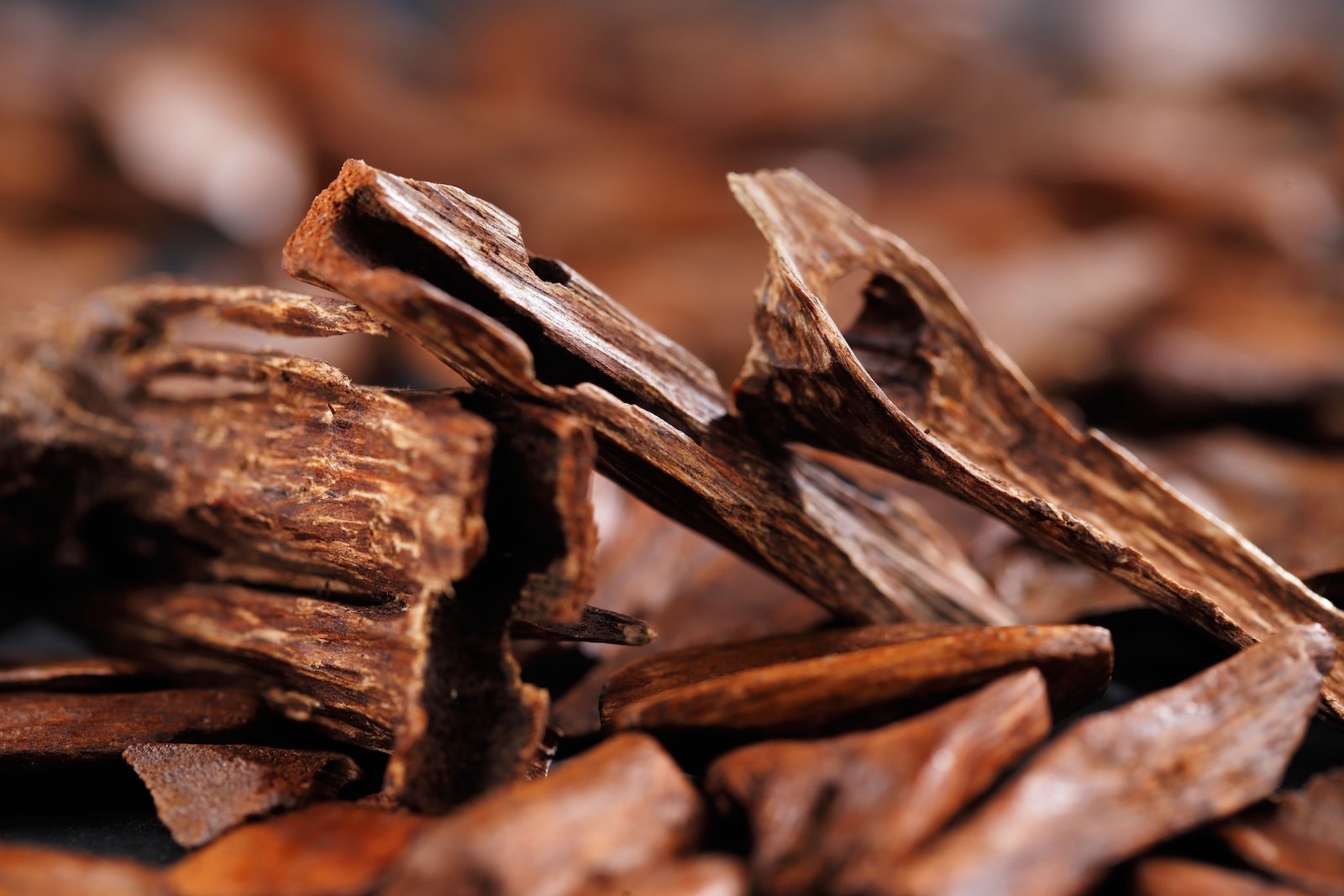 Sandalwood in perfumes - Perfume Lounge