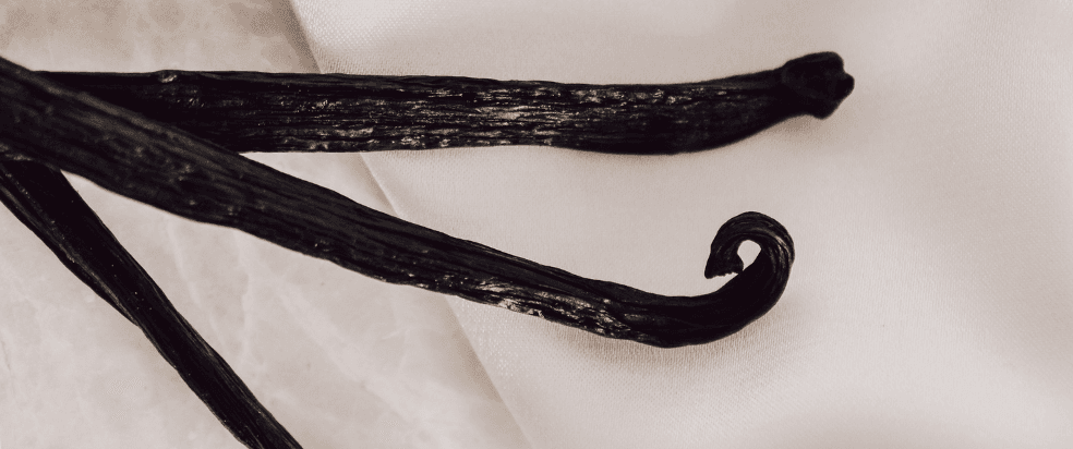 Vanille - vanilla - geurnoot - fragrance note