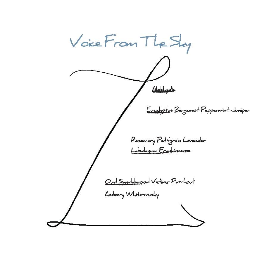 Voice From the Sky - Voice from the Sky