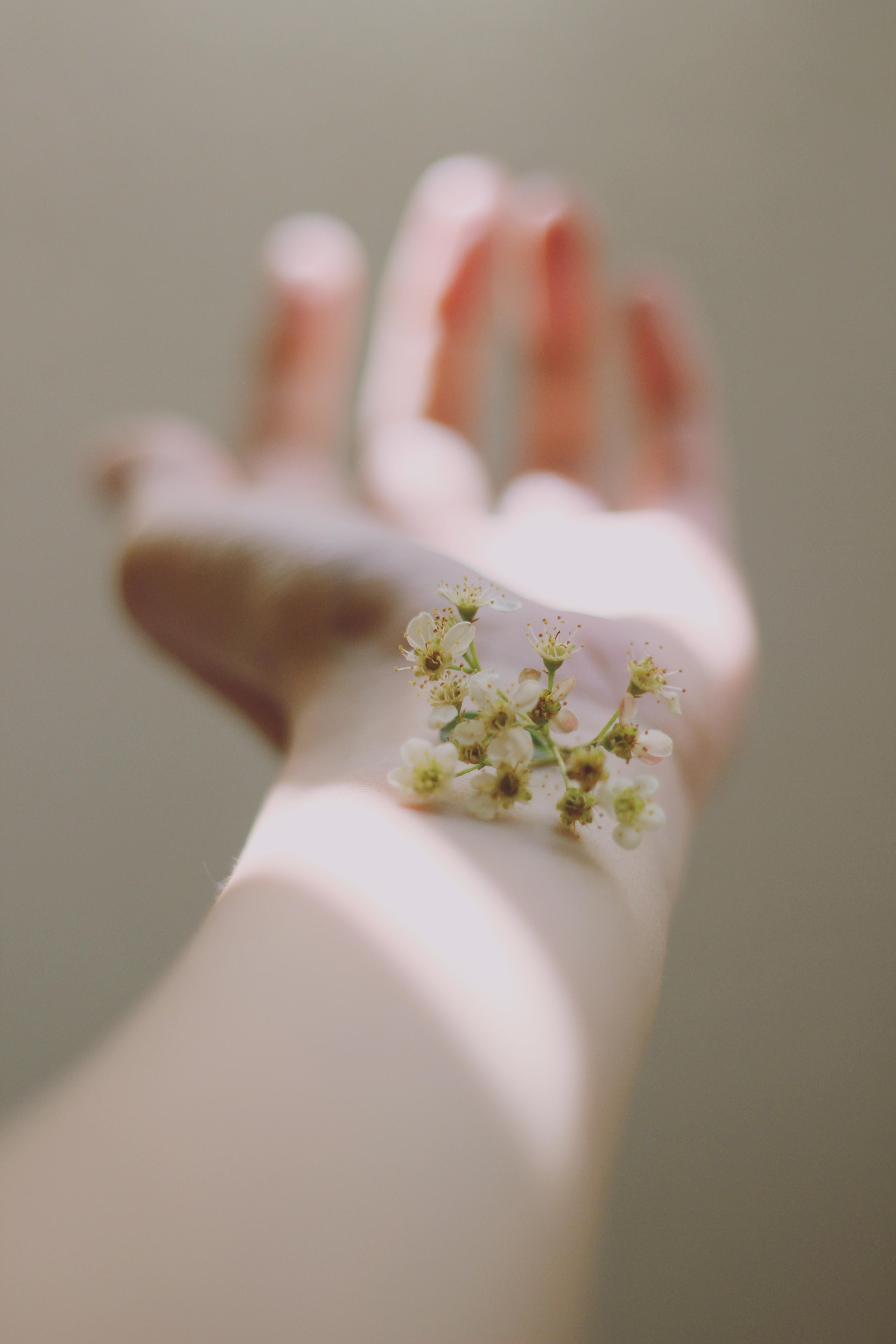 serene flowers on arm