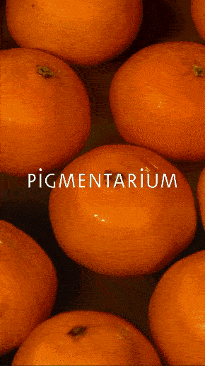 Oratorio - pigmentarium